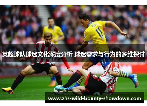 英超球队球迷文化深度分析 球迷需求与行为的多维探讨