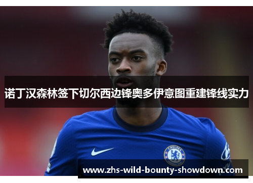 诺丁汉森林签下切尔西边锋奥多伊意图重建锋线实力