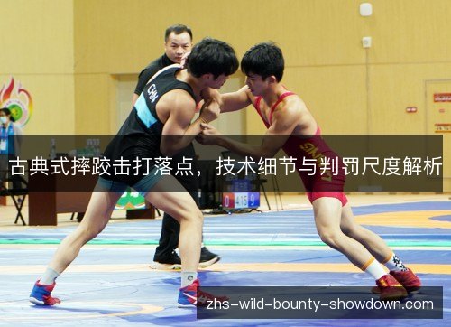 古典式摔跤击打落点，技术细节与判罚尺度解析